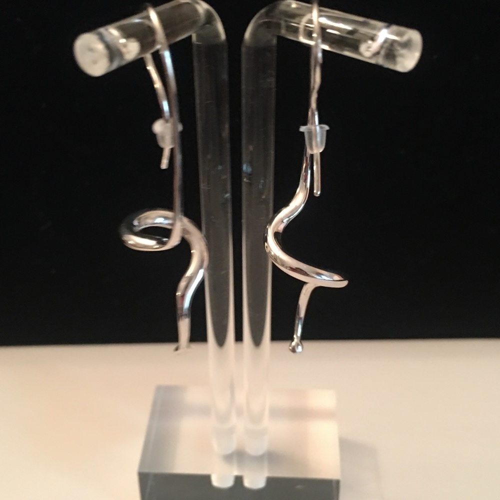 Host Pick! Squiggly Drop Earrings